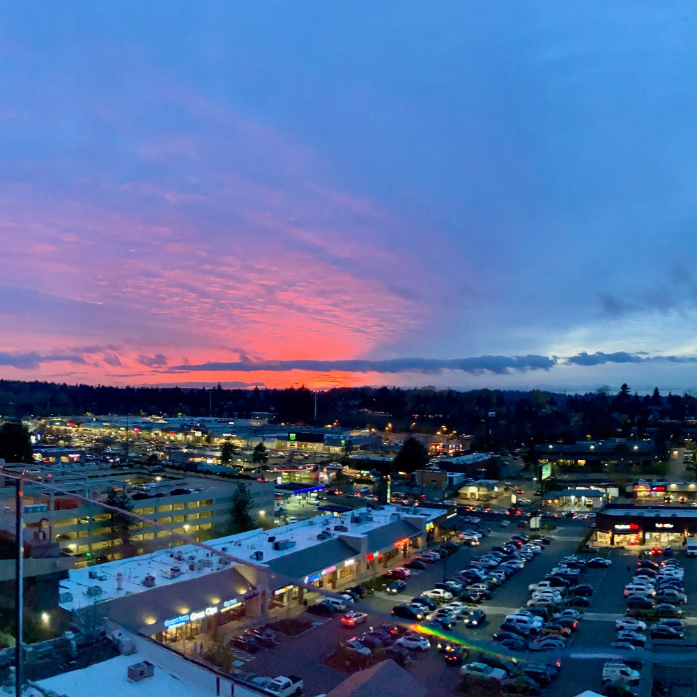 Magenta Sunset